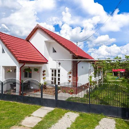 Casa De Vacanta Marya Baia de Fier Bagian luar foto