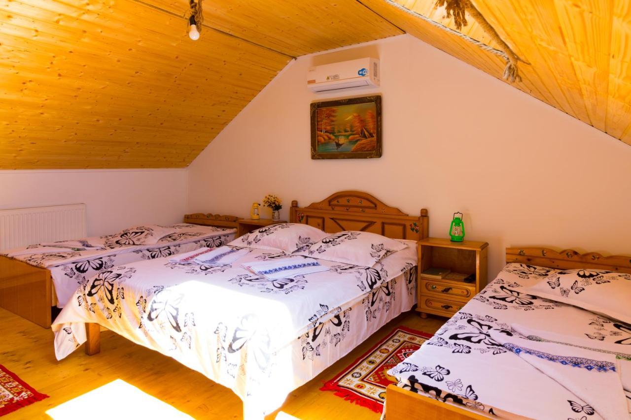 Casa De Vacanta Marya Baia de Fier Bagian luar foto