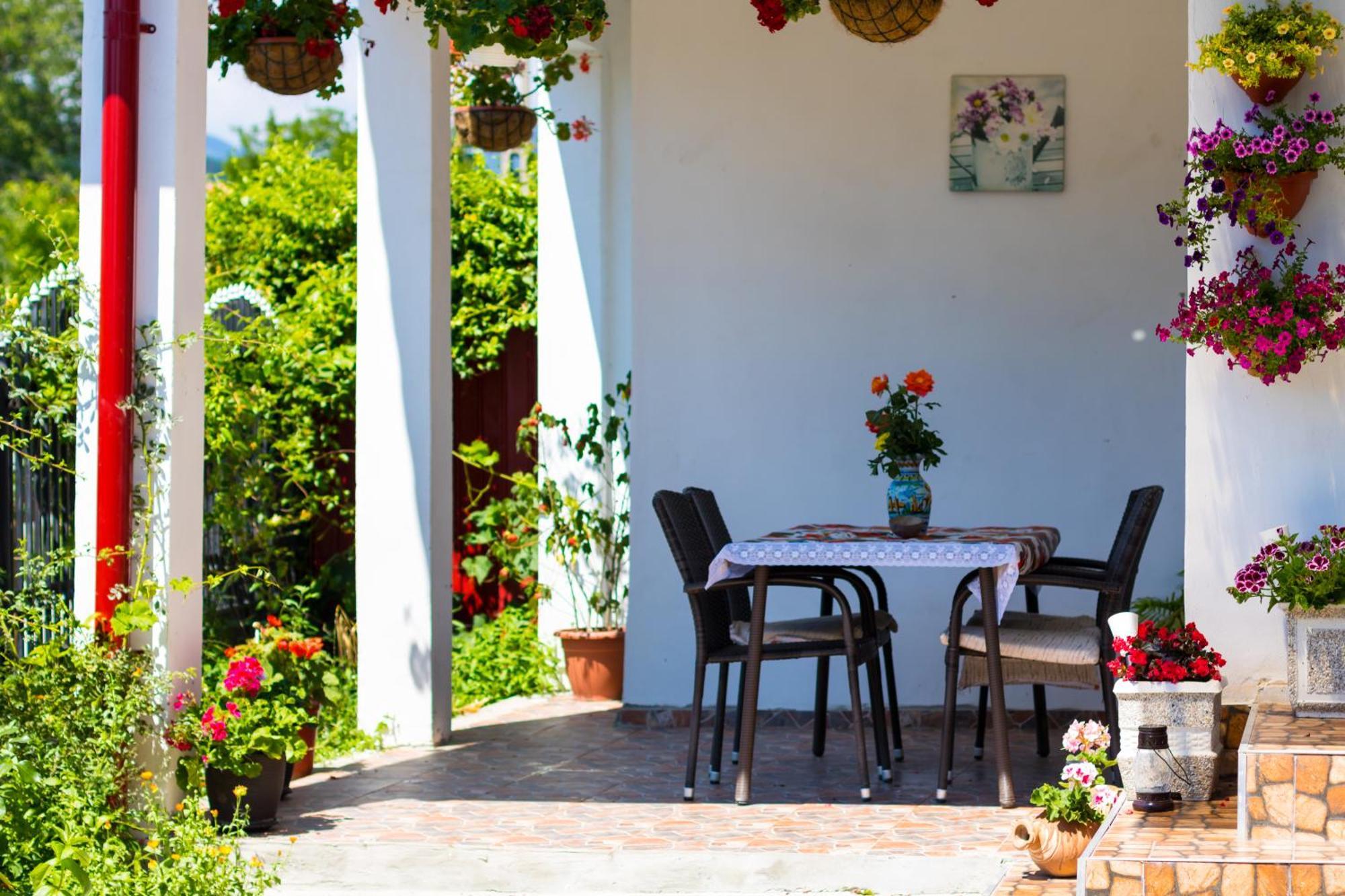 Casa De Vacanta Marya Baia de Fier Bagian luar foto