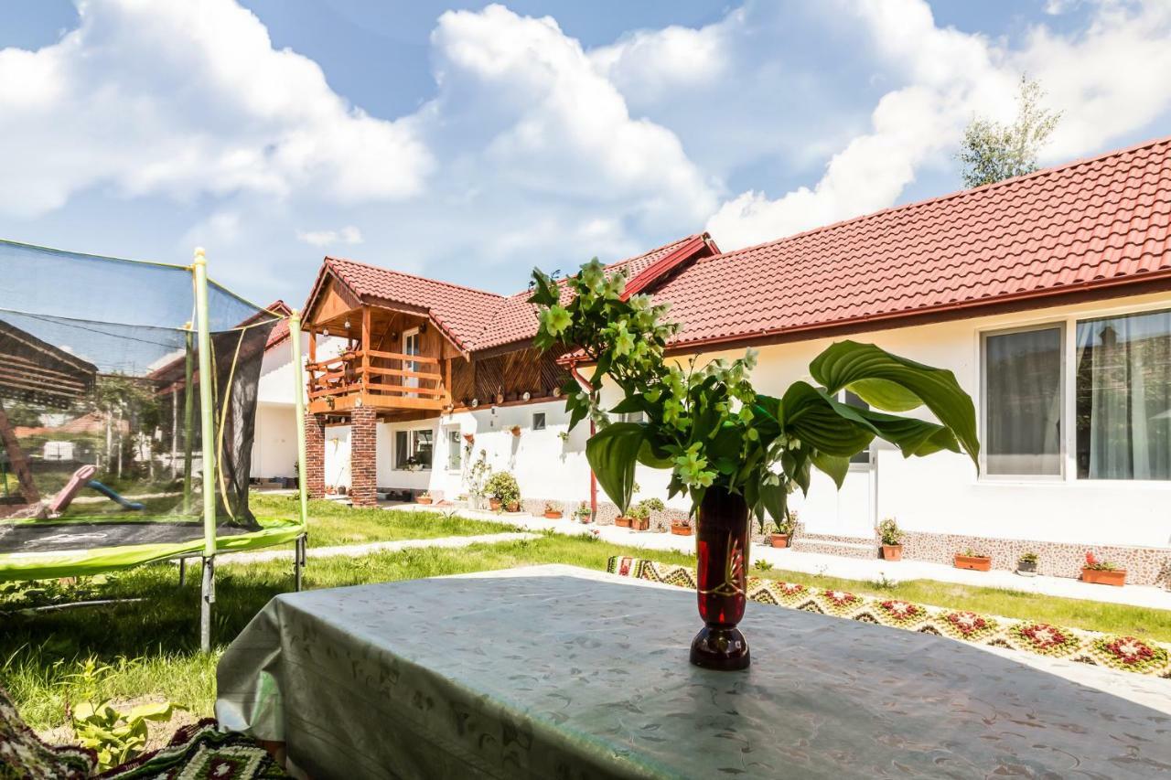 Casa De Vacanta Marya Baia de Fier Bagian luar foto