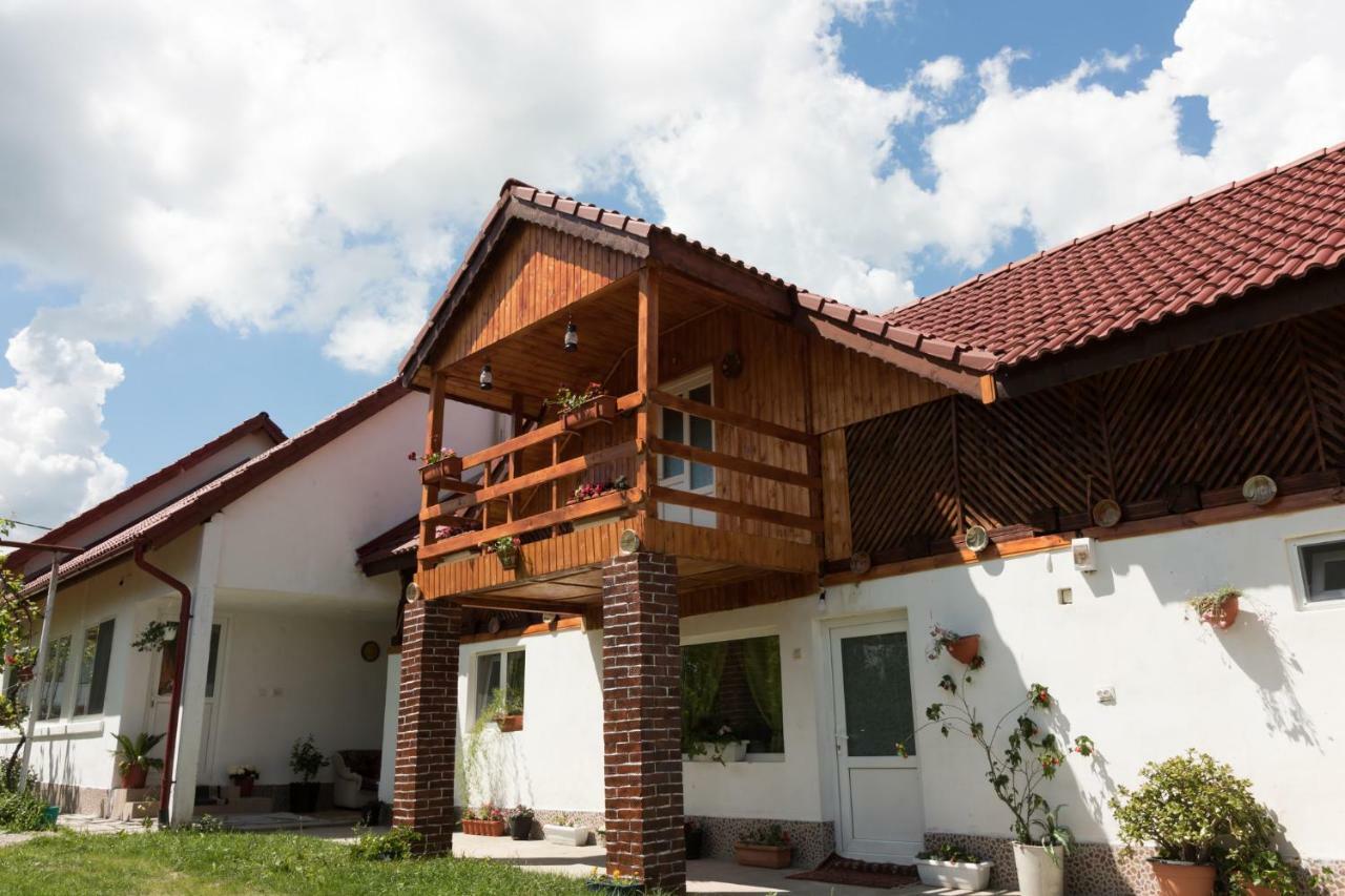 Casa De Vacanta Marya Baia de Fier Bagian luar foto